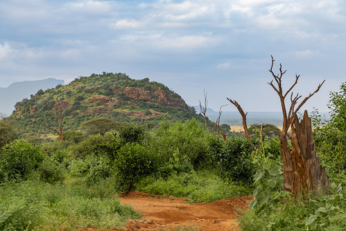Sarara, Samburu, Kenya ©  Ninara