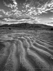 Water Flow In The Desert (Black and White)