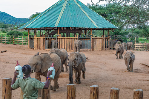 Reteti Elephant Sanctuary ©  Ninara