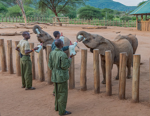 Reteti Elephant Sanctuary ©  Ninara