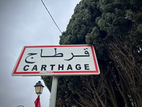 Carthage (municipality), Tunisia  ©  Sharon Hahn Darlin