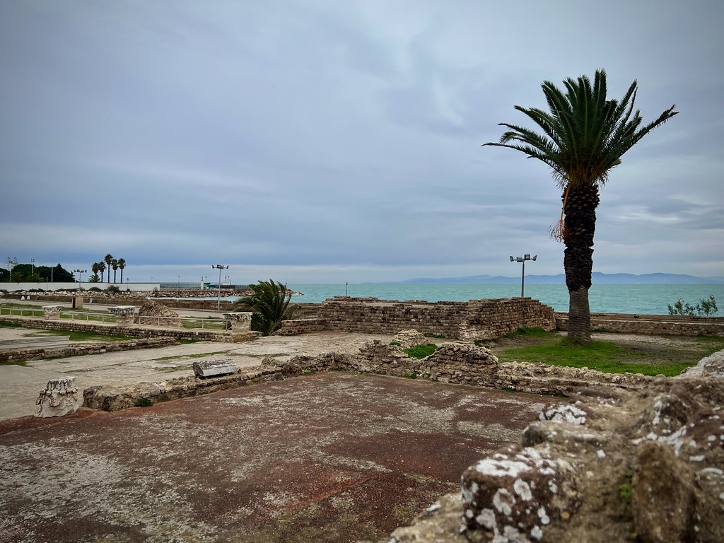 : Les thermes d'Antonin (Baths of Antoninus), Carthage (municipality), Tunisia 