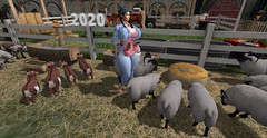 Farm Girl Life 2024