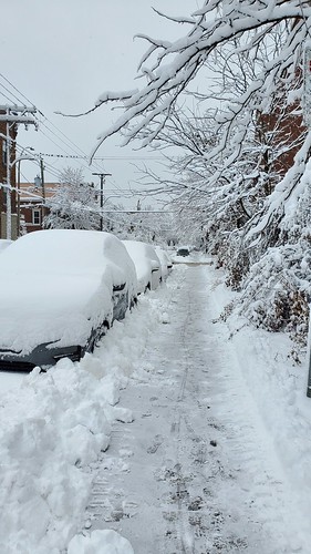 rue de Montr'eal en hiver ©  abdallahh