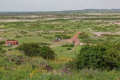 Amboseli National Park, Kenya ©  Ninara