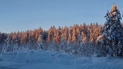 Winter dawn ©  Egor Plenkin