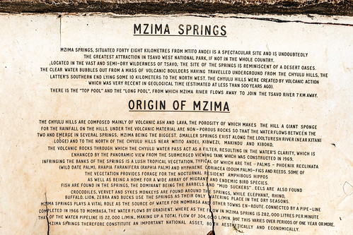 Mzima Springs, Kenya ©  Ninara