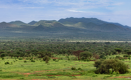 Tsavo West National Park, Kenya ©  Ninara