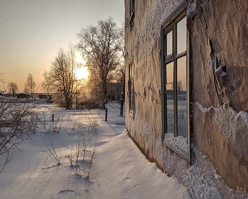 Reflection in the window ©  Egor Plenkin