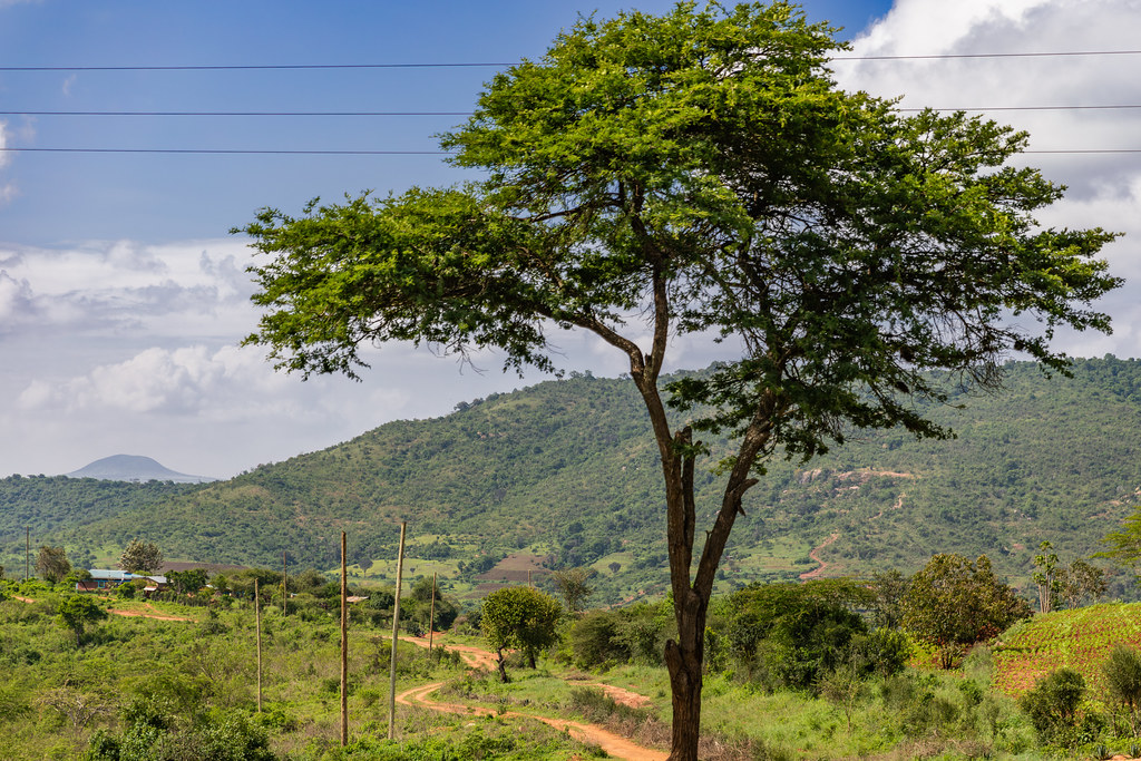 : Makueni County, Kenya