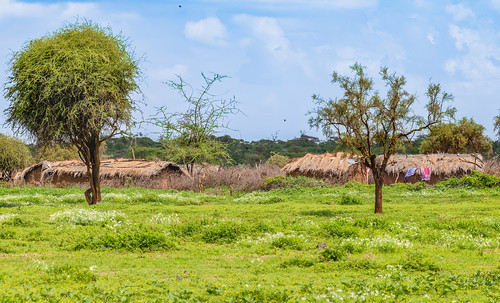 Kajiado County, Kenya ©  Ninara