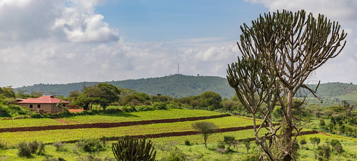 Makueni County, Kenya ©  Ninara