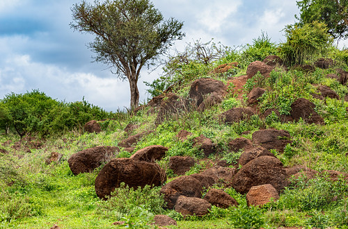 Kajiado County, Kenia ©  Ninara