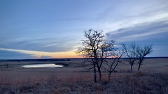 Sunrise on the Tallgrass Prairie