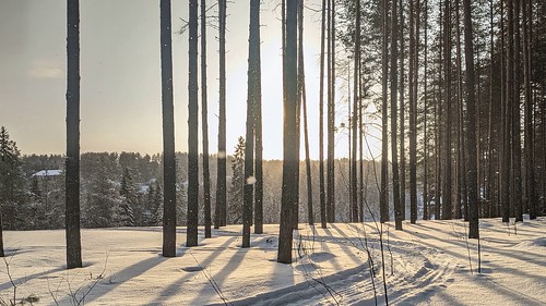Snow and Sun ©  Egor Plenkin