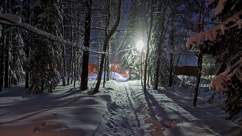 Winter evening ©  Egor Plenkin