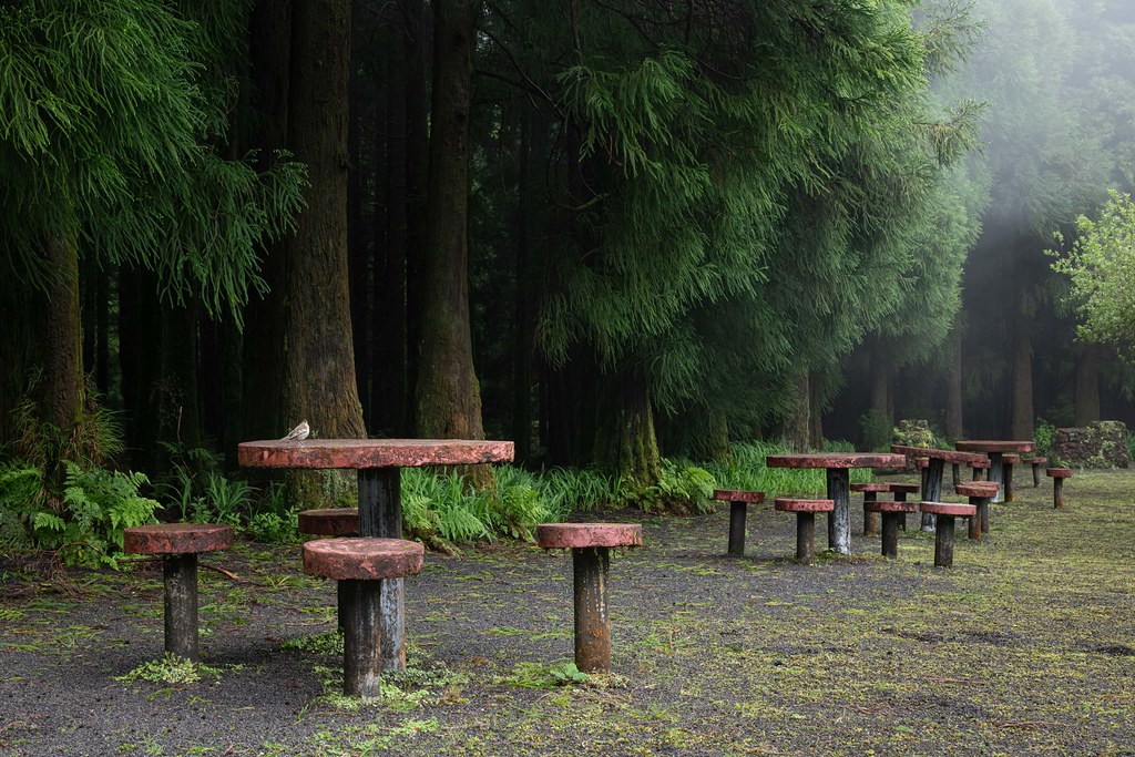 : Abandones Tables