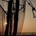 A Fishing Net Hangs from the Mast of a Sri Lankan Boat