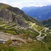 Irresistible attraction of Alpine roads
