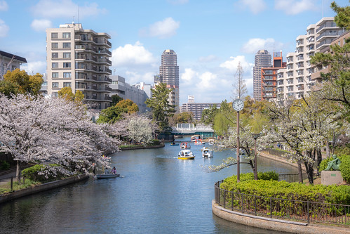 Spring in Tokyo ©  Raita Futo