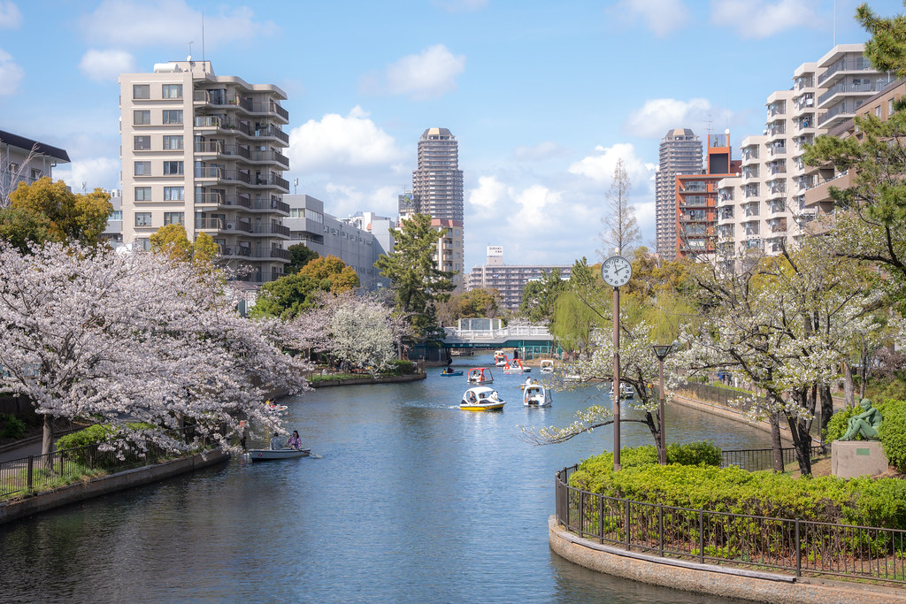 : Spring in Tokyo