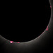 Éclipse solaire totale du 8 avril 2024 / April 8th 2024 Total Solar Eclipse