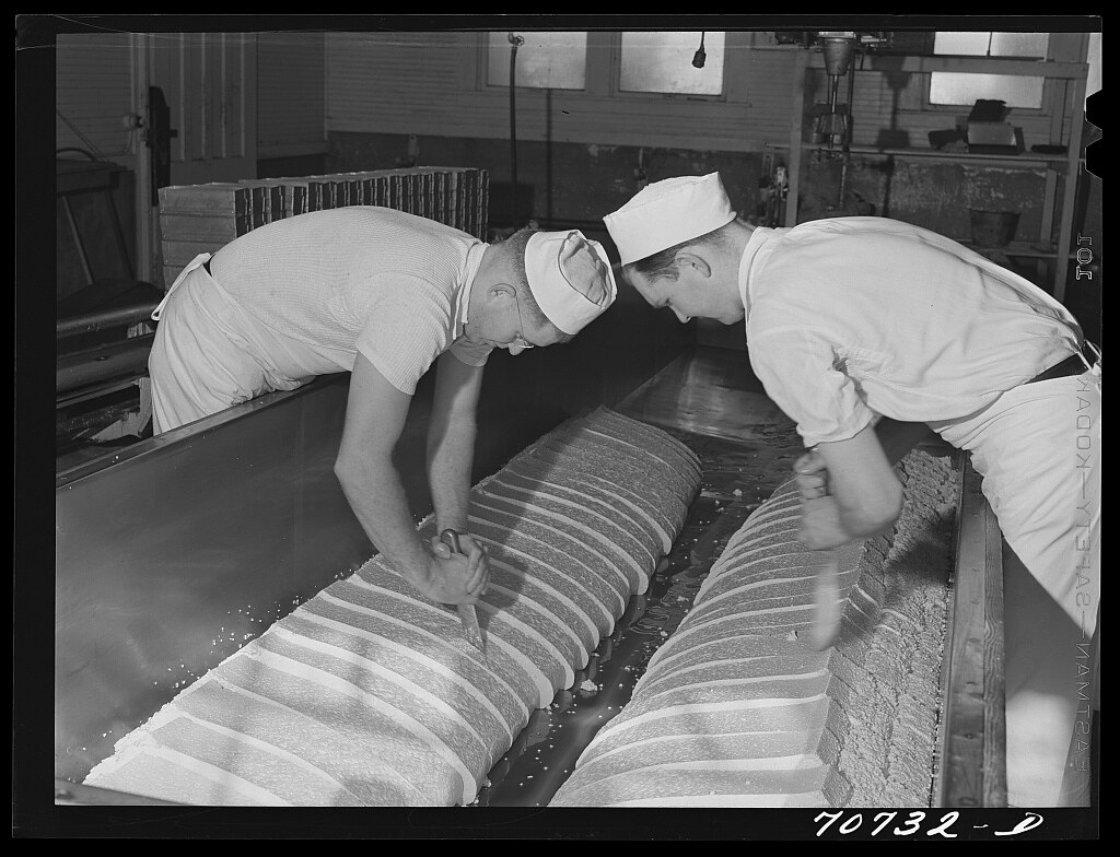 : Cutting through the curd which has cheddared, and thus releasing the whey. Tillamook cheese plant, Tillamook, Oregon (LOC)