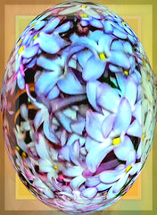 A Late Lilac Easter Egg