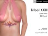 [HDesign] Tribal XXIII (Chest Tattoo)