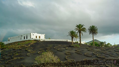 La Geria, Lanzarote’s Wine-growing Region