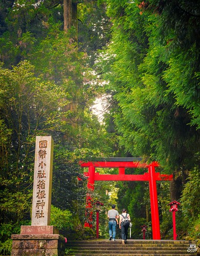 Torii gate in Hakone ©  Sergiy Galyonkin