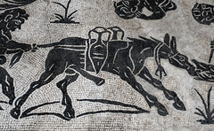Roman bichrome mosaics from a mansio at Fidenae, 4: detail of ithyphallic mule laden with amphorae