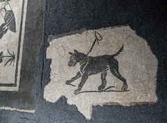 Roman bichrome mosaics from a mansio at Fidenae, 2