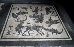Roman bichrome mosaics from a mansio at Fidenae, 3