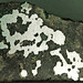 Mesosiderite (Estherville Meteorite) (4.422-4.556 Ga) 2