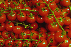 Food store tomatos