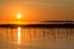 Misty Orange Sunrise on Boy Lake by Patti Deters