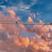 Highline 179 - Zwischen den Wolken