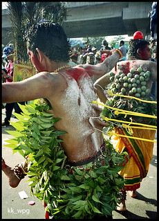 MAN with HOOKS in HIS BACK, Thaipusam (Hindu Festival), Batu Caves, Kuala Lumpur, Malaysia (XVI)