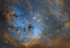 IC 410 - the Tadpoles Nebula in Auriga