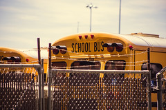 school bus [Day 3760]