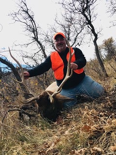 Colorado Elk Hunt and Mule Deer Hunt - Meeker 1