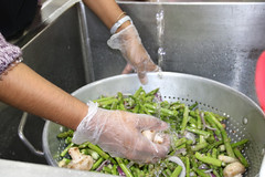 Trisha Dalapati rinses vegetables donated by Trader Joe’s in the sink at Talmage Terrace for Campus Kitchen on Feb. 12, 2019. (Photo/Paige Watkins)
