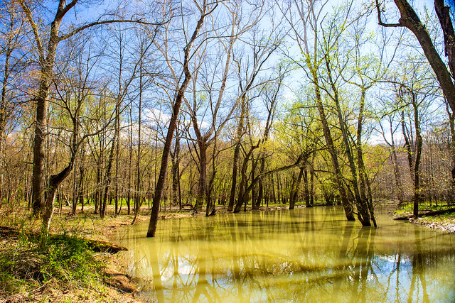 Hoosier National Forest - Knobstone/Brown County D Trail - April 15, 2019