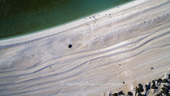 Shark Bay_Shell Beach_0818