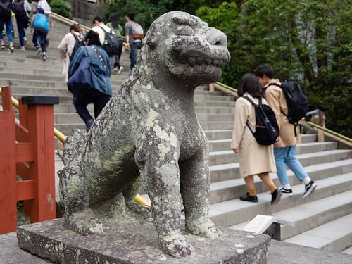 鶴岡八幡宮の狛犬さん 吽