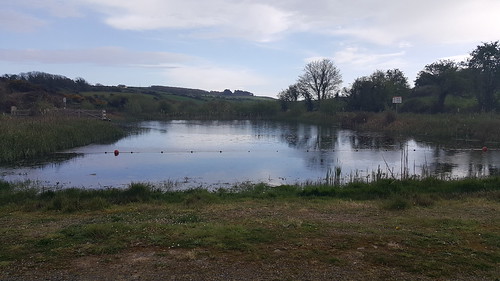 IRWC visit to the Anne Valley Wetlands, April 2019