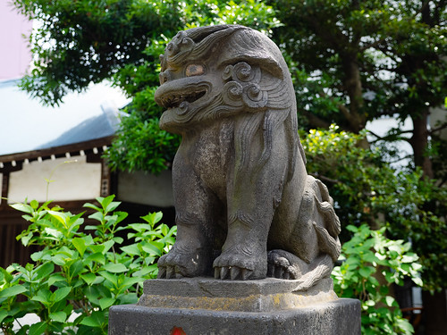 横須賀諏訪神社の狛犬さん