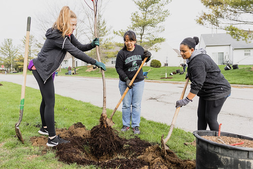 Global Day of Service, April 2019
