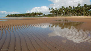 Praia de Japaratinga